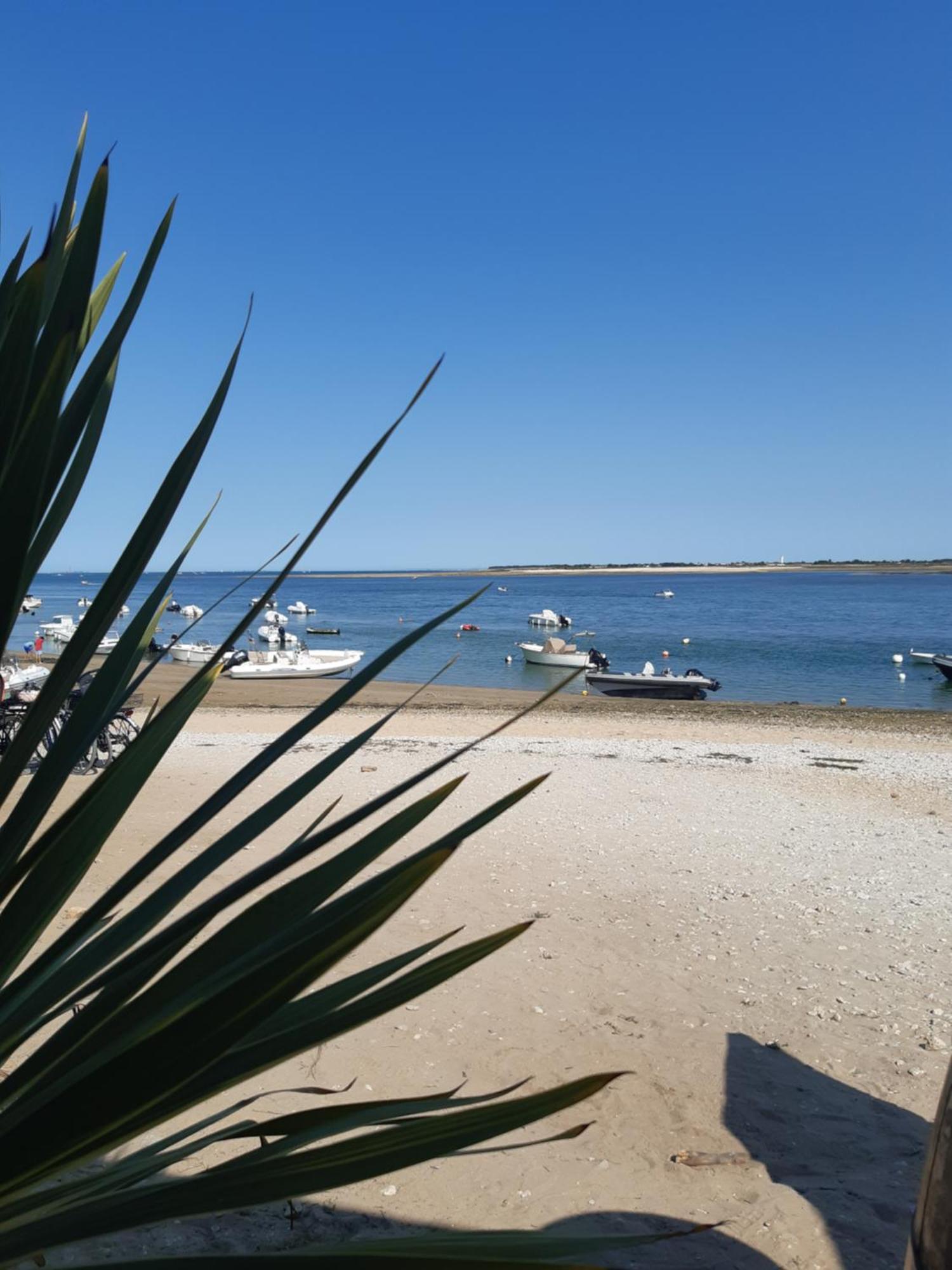 Maison De Vacances Entiere A 10 Mn De La Rochelle Dompierre-sur-Mer Екстериор снимка