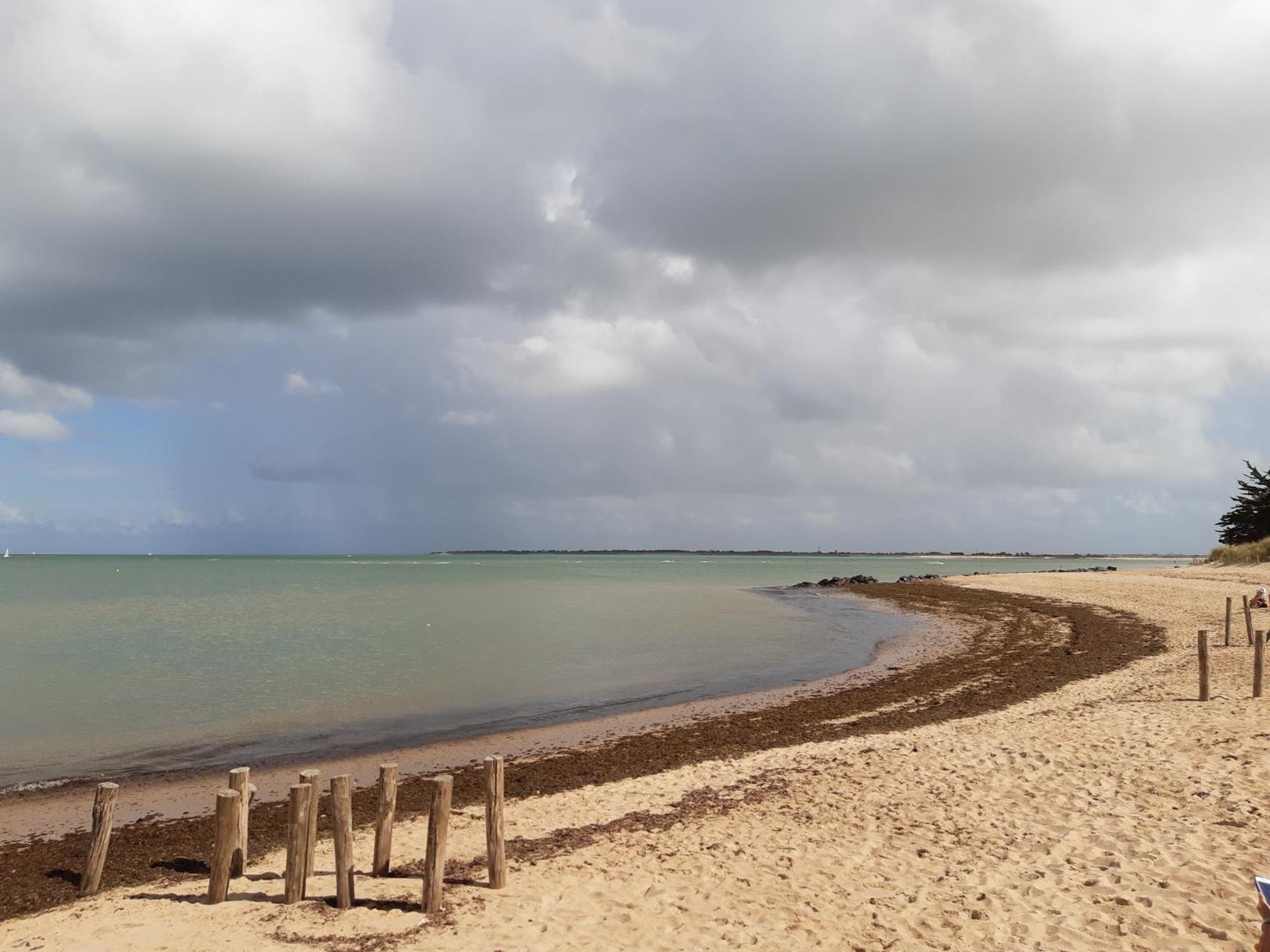Maison De Vacances Entiere A 10 Mn De La Rochelle Dompierre-sur-Mer Екстериор снимка
